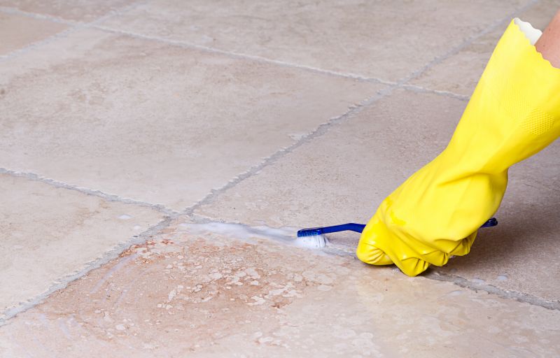 Tile Grout Cleaning detail